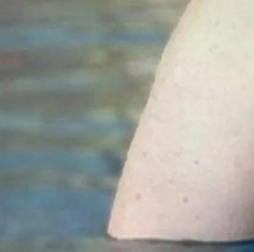 Sticker ❤Любимый Го(р/н)дон☺ - 8