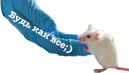 Sticker GorgonaOneAndOnly - 1