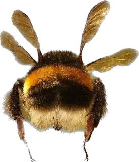 Стикер Gorgona_style_©️By_Gorgona - 11