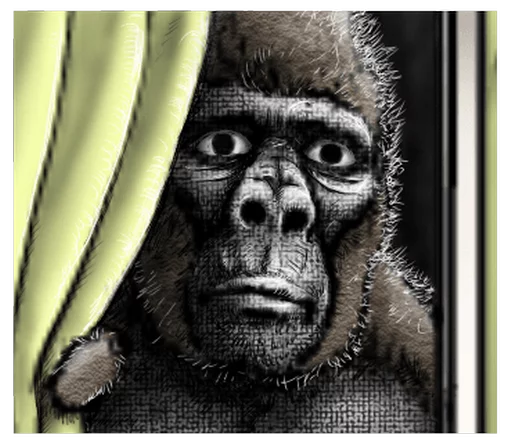 Sticker Gorilla Gorilla - 3