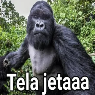 Sticker Gorilla Gym - 11