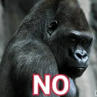 Sticker Gorilla Gym - 7