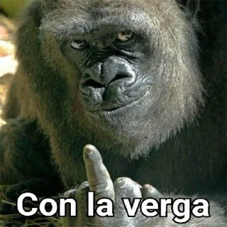 Sticker Gorilla Gym - 6