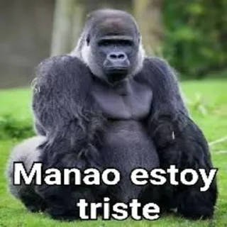 Sticker Gorilla Gym - 4