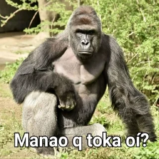 Sticker Gorilla Gym - 9