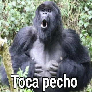 Sticker Gorilla Gym - 2