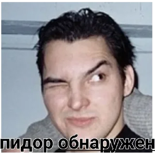 Стикер Горшенев - 6