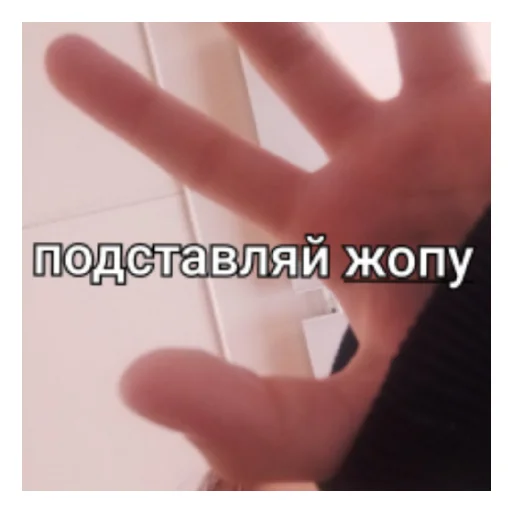 Sticker Goskiystikers - 1