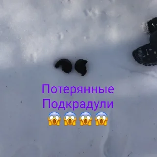 Стикер Пон - 5