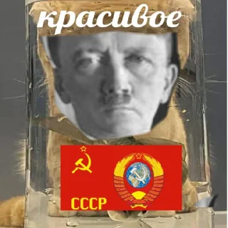 Стикер Государство СССР стикеры - 2