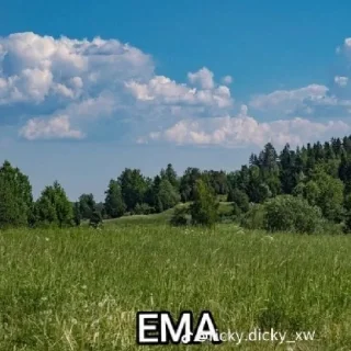 Sticker govna_uwu2 - 10