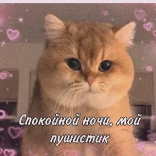 Sticker Хз че - 0