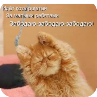 Sticker ARMAGEDDON - 7