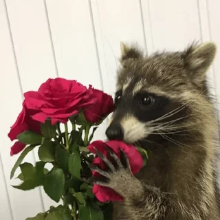 Sticker Стикеры тут 👉 @Femoji - 5