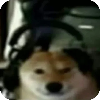 Стикер Больше стиков тут: @stikery4 - 4