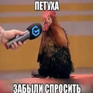 Стикер @grmbt - 4