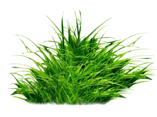 Sticker Время потрогать траву - 0