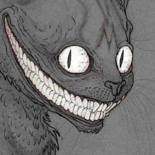 Стикер GrayCat 💝 - 1