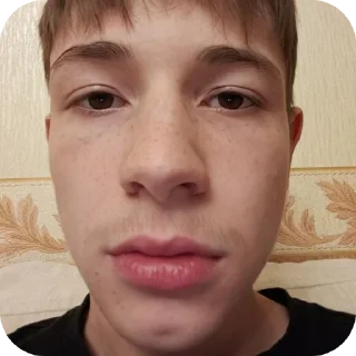 Sticker гречка мартини - 11