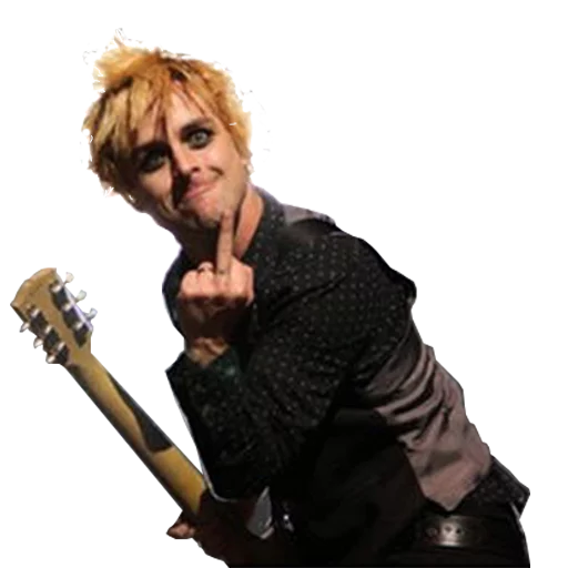 concert musical instrument person