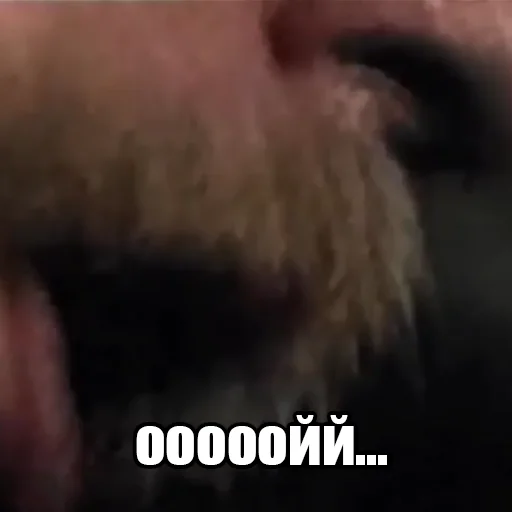 СМС животное скриншот