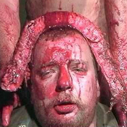 плоть Человек СМС