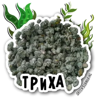 Стикер Green Submarine Family - 7