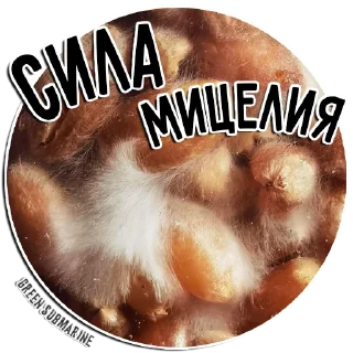 Стикер Green Submarine Family - 11