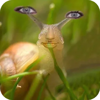 Стикер Шкибидибом - 11