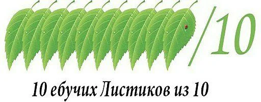 зеленый книгопечатание проектировать