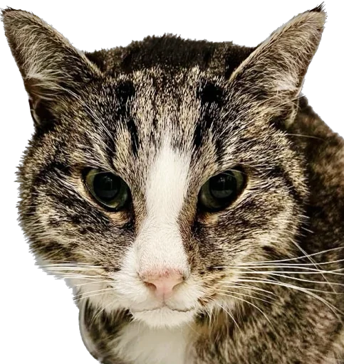 Sticker Grishka143 - 1