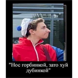 Стикер Poodle - 8