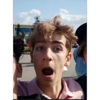 Стикер Poodle - 11