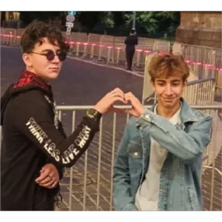 Стикер Poodle - 9