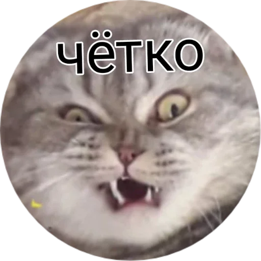 Великая и злая шанти by @griz_228 - 