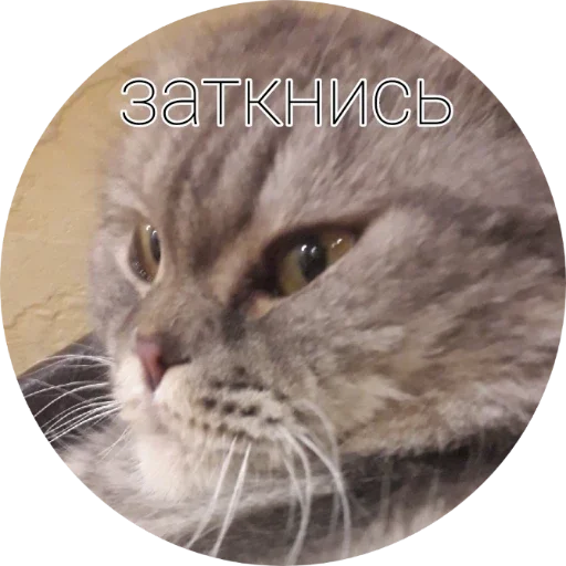 Sticker Великая и злая шанти by @griz_228 - 10