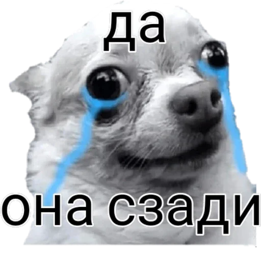 Sticker Великая и злая шанти by @griz_228 - 9