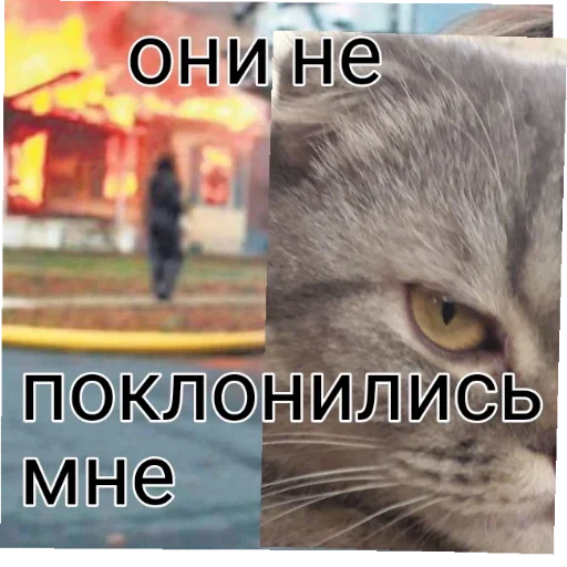 Sticker Великая и злая шанти by @griz_228 - 7