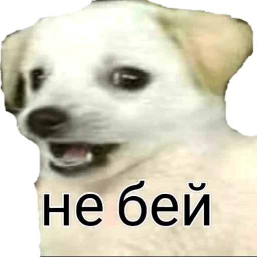 Sticker Великая и злая шанти by @griz_228 - 6