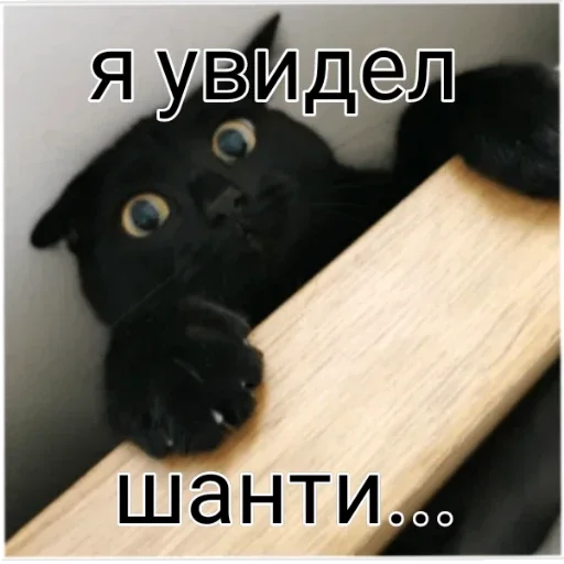 Sticker Великая и злая шанти by @griz_228 - 4