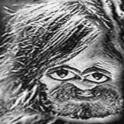 Sticker Гроб и Опизденевшие - 9