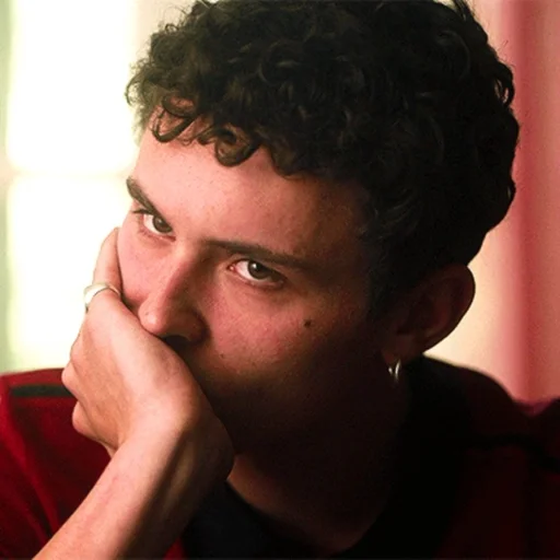 Человек человеческое лицо комнатный