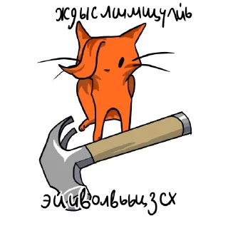 Стикер Майор_Кот - 1