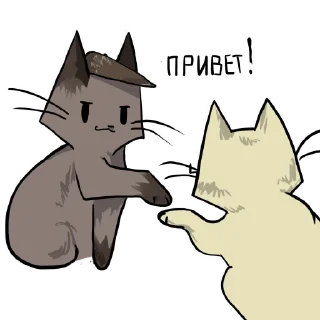 Стикер Майор_Кот - 2