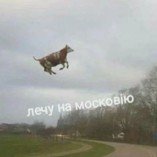 Стикер Gromadani - 1