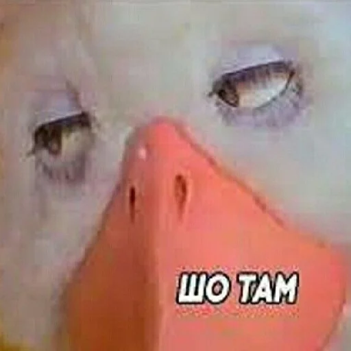 Sticker Gromadani - 1