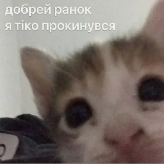 Стикер СМЕРТЬ КАТАМ - 2