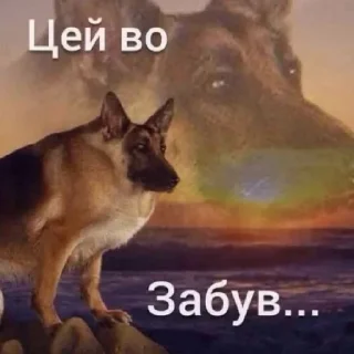 Стикер СМЕРТЬ КАТАМ - 4