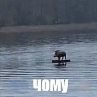 Стикер СМЕРТЬ КАТАМ - 6