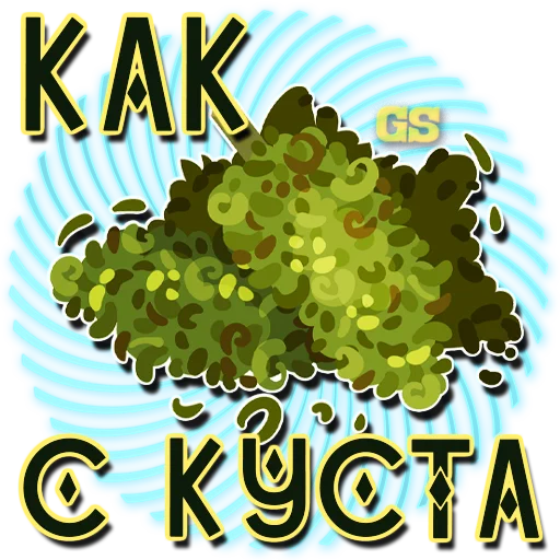 СМС скриншот графика